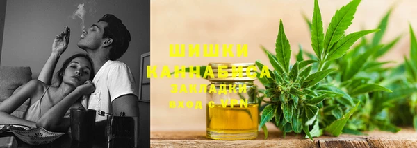 гидра Надым