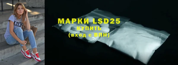 гидра Надым
