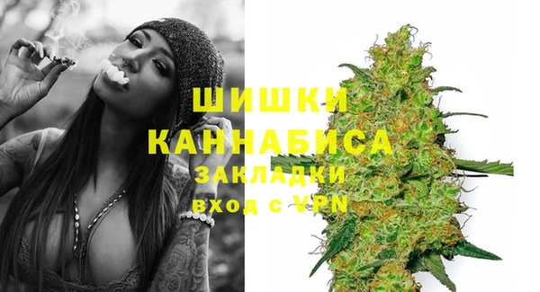 гидра Надым