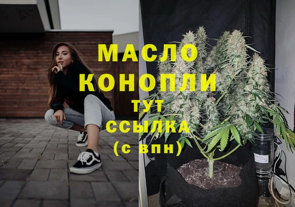 гидра Надым