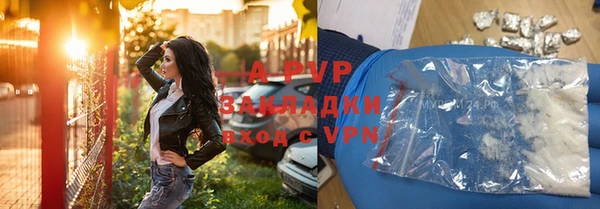 гидра Надым