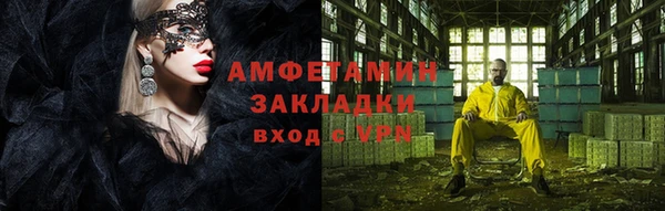 гидра Надым